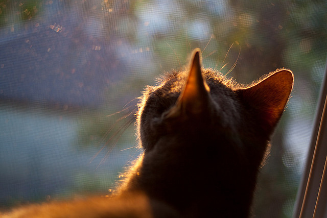 乐鱼电竞· (中国)官方网站-吉尔吉斯斯坦男篮在国际比赛中不断突破，逐渐崭露头角