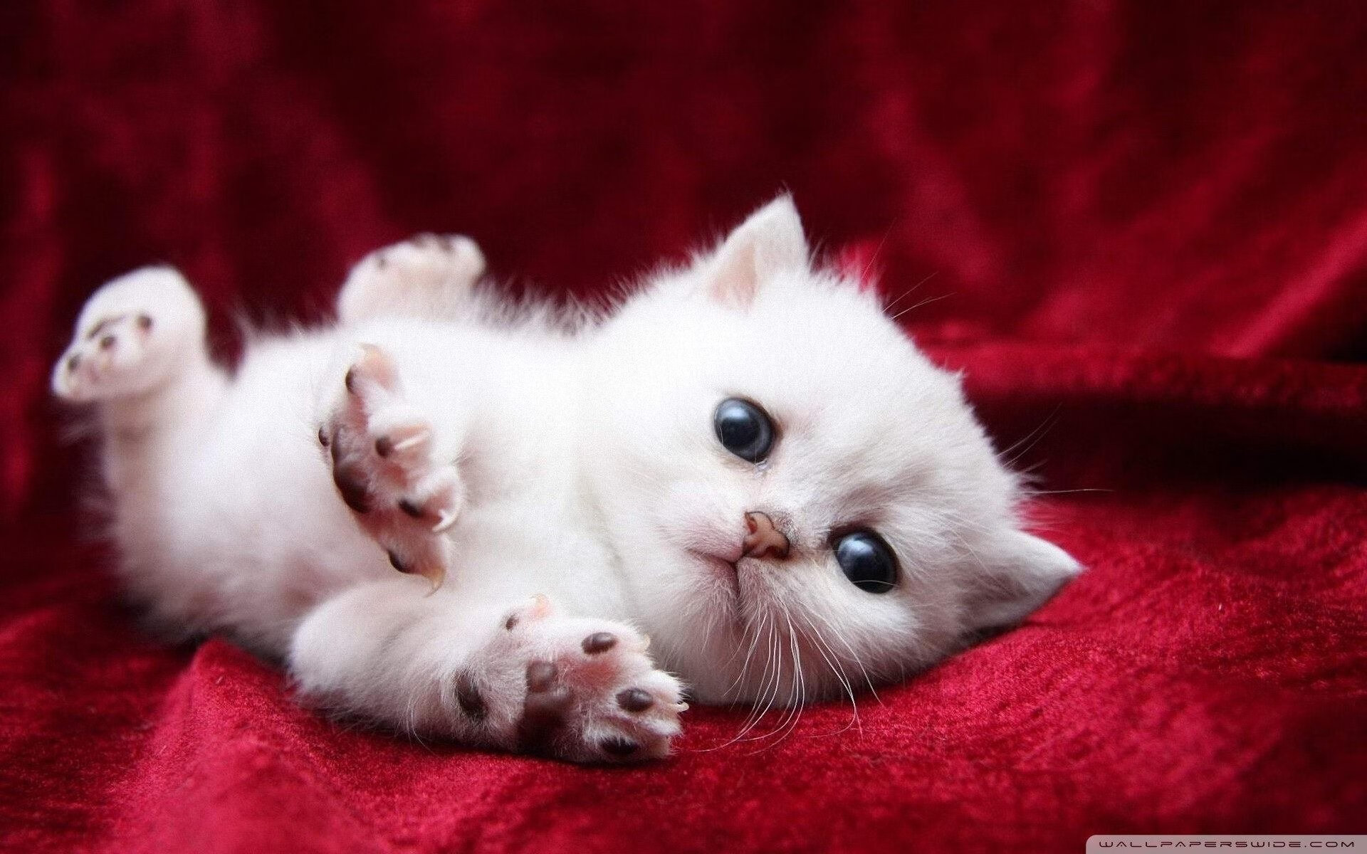 Leyu Sport登录入口-战术演练专注高位压迫目标直指下场比赛主动权，战术演练4-13