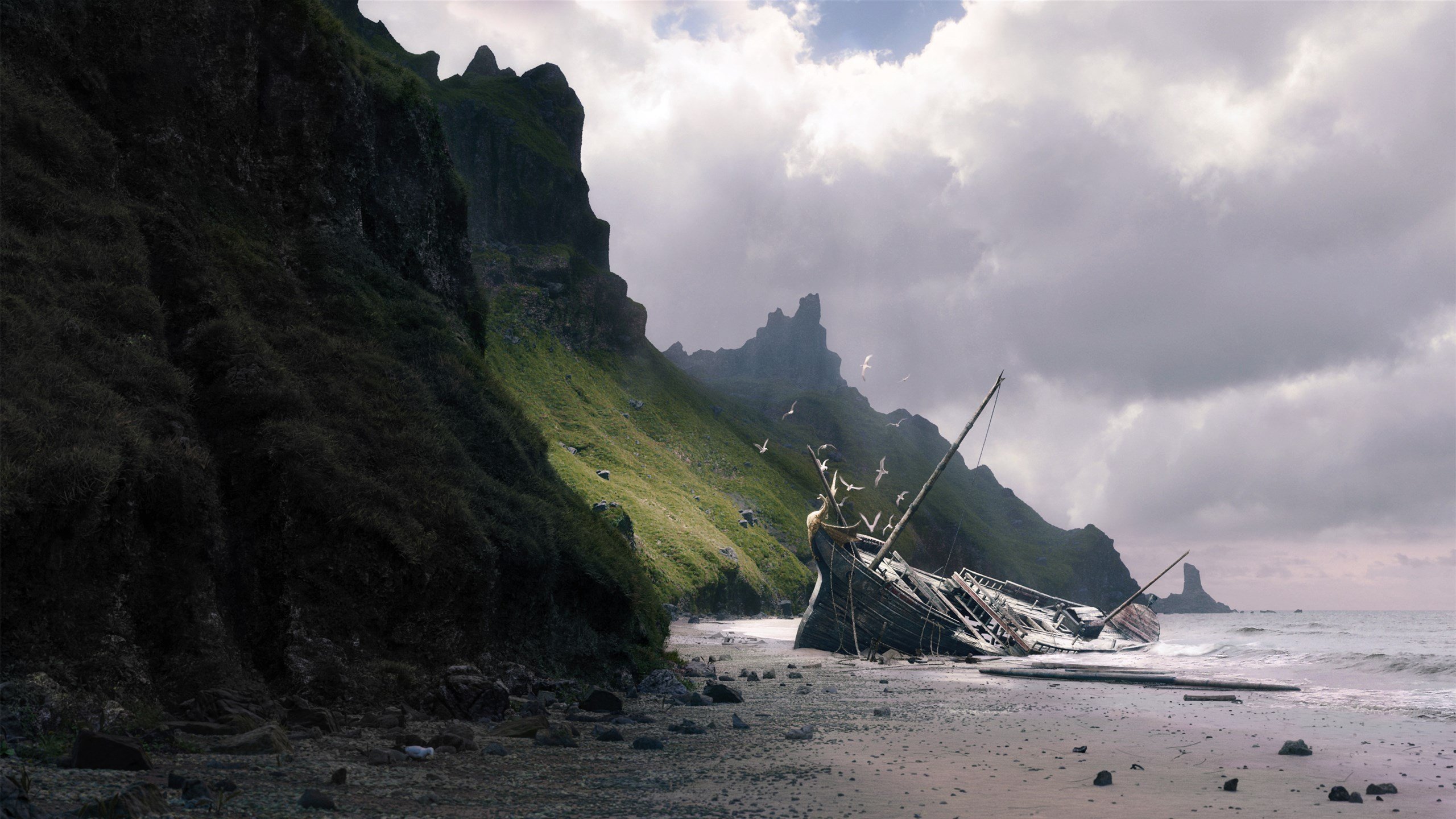 比利时蛙泳新星再刷新纪录,比利时whc