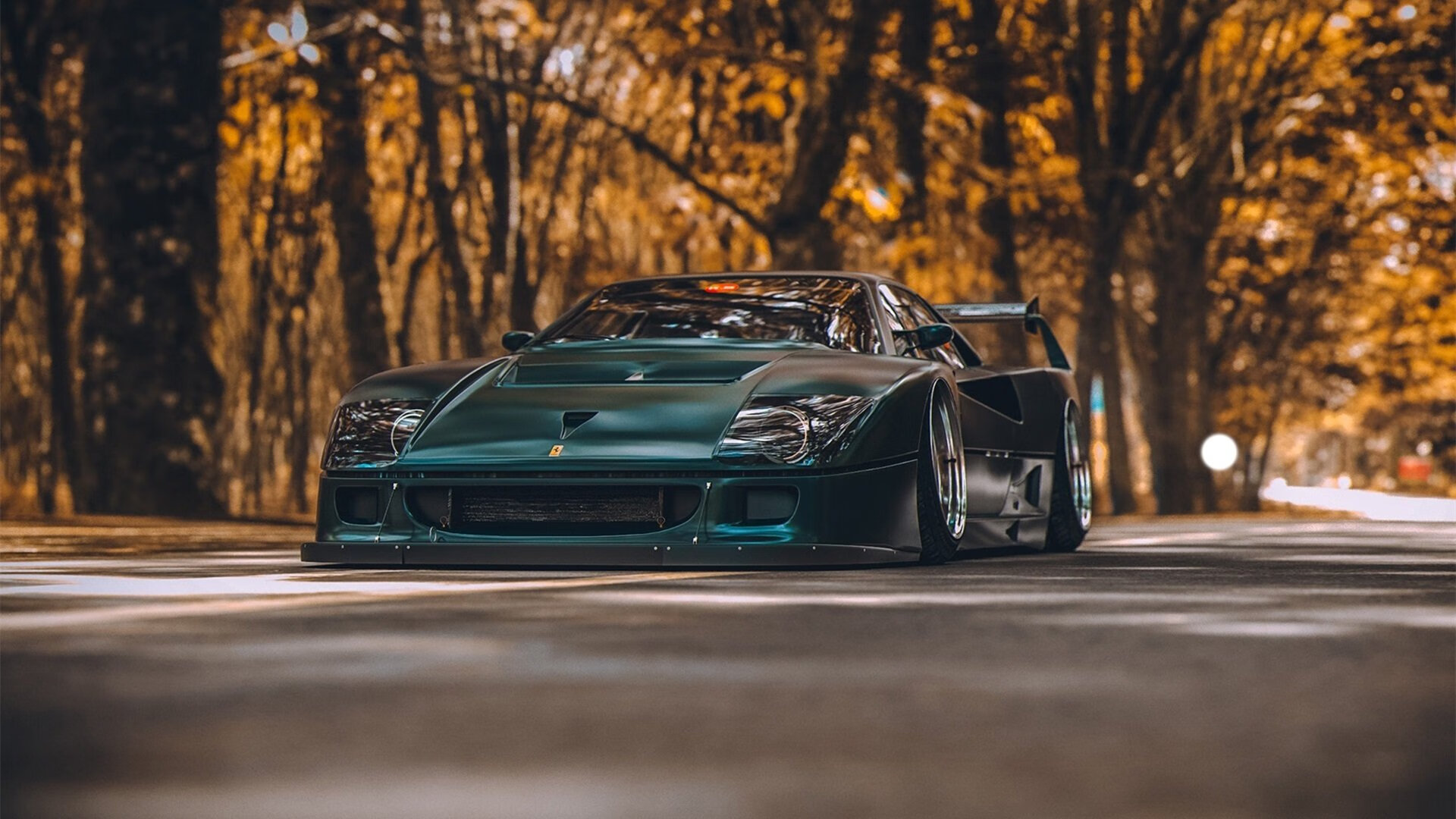 比利时蛙泳新星再刷新纪录,比利时whc