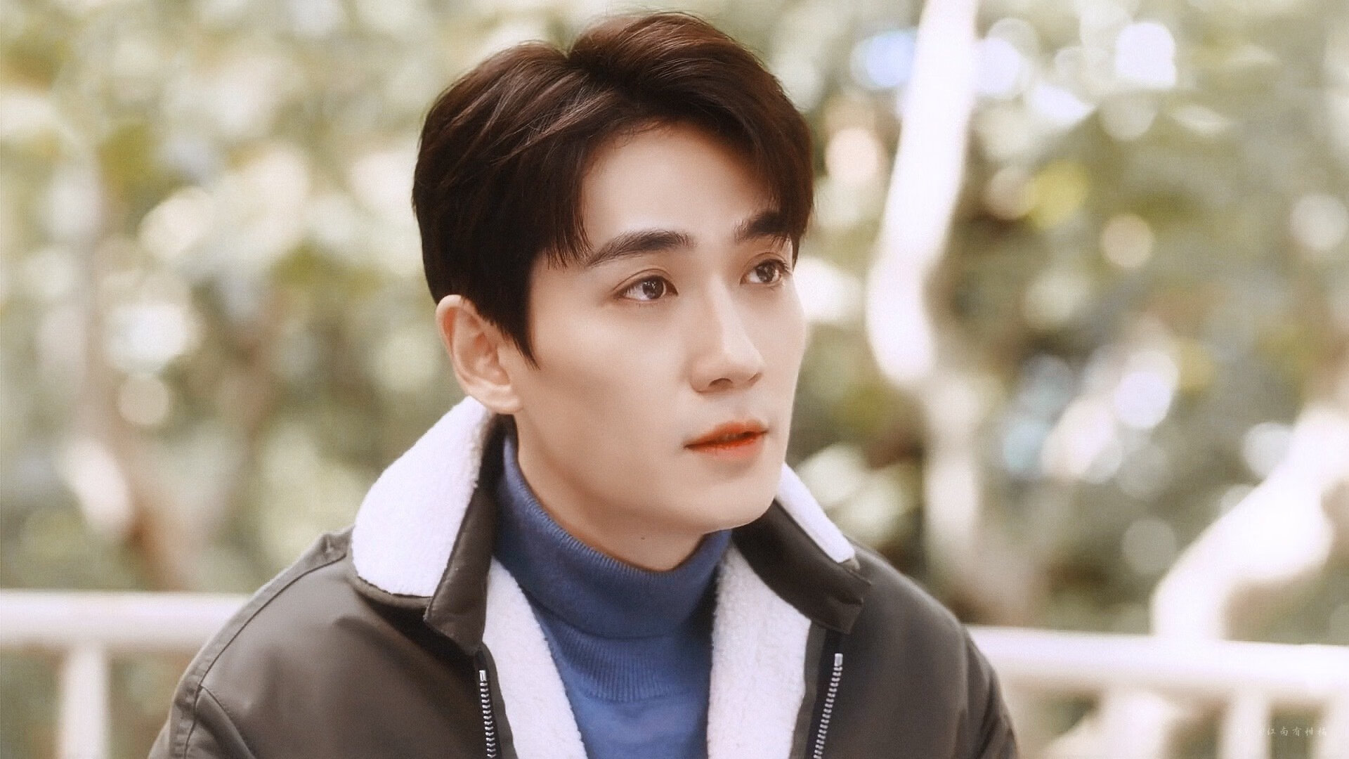 法甲联赛中的运动科学应用,法甲介绍