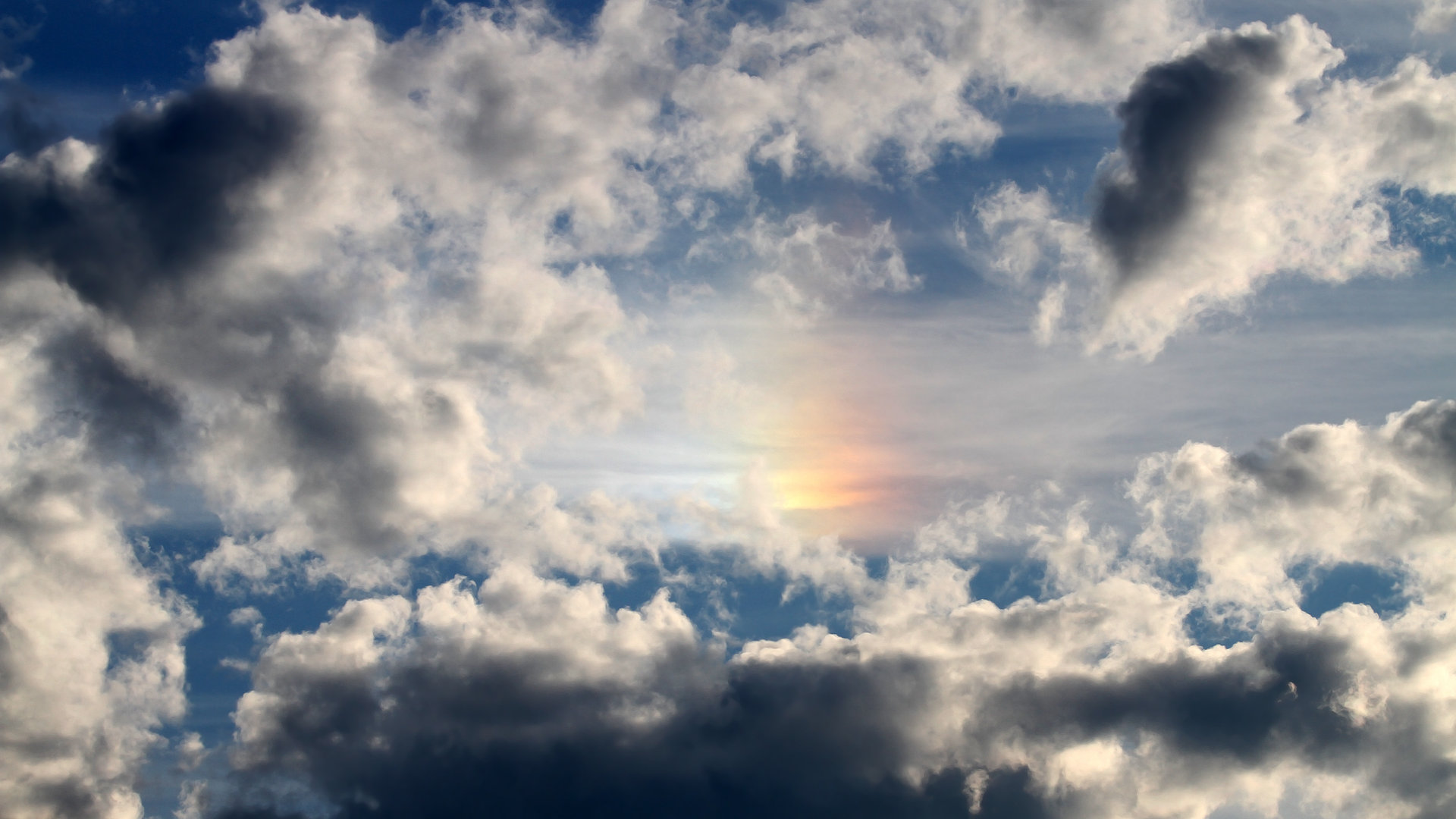 乐鱼vip-澳大利亚袋鼠队的转型与新战术，能否带来冠军？，在澳大利亚人眼里,袋鼠军团就是这样一支队伍