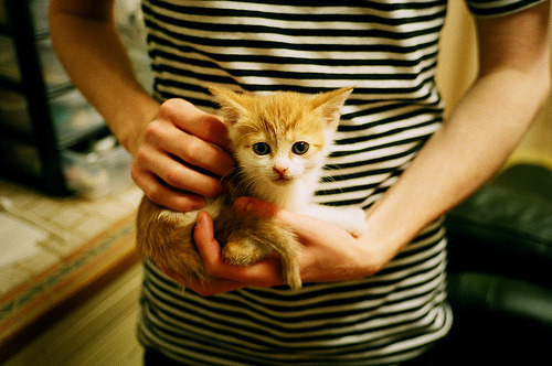 霍勒迪数据爆表雄鹿终结连败,霍勒迪雄鹿集锦